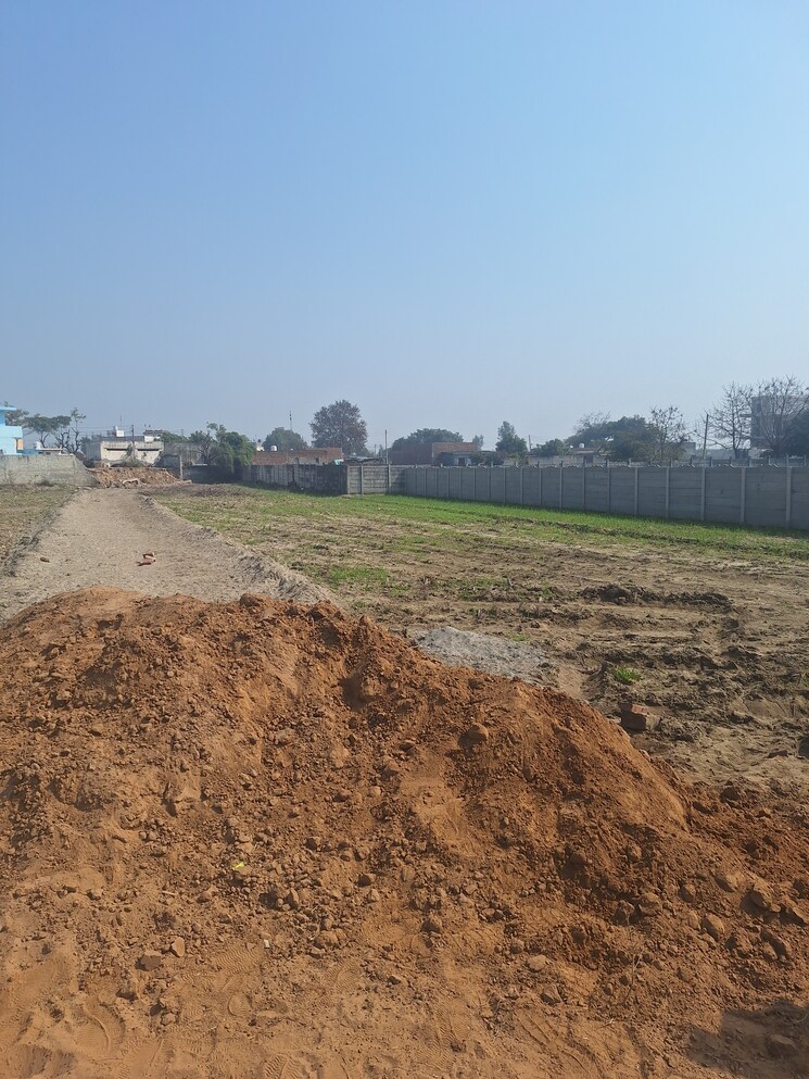 undefined, sector 1 Commercial Industrial Plot 1210 Sq.Yd. In Sector 1 Faridabad 8195108