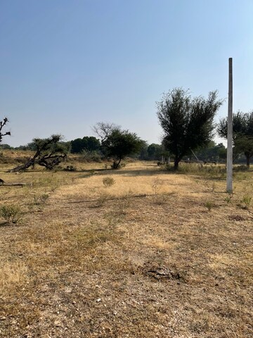 Plot Area in  Plot at Bagru – for Sale