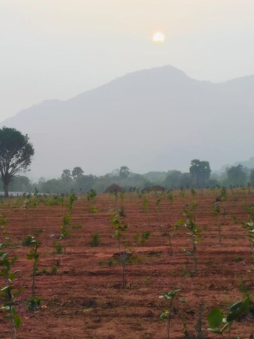  Plot For Sale in Sarada Colony