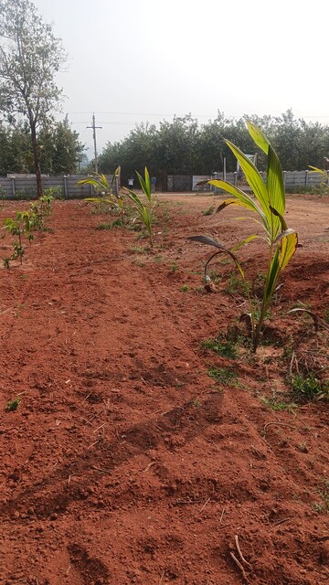  Plot – Exterior View View at Sarada Colony - for Sale