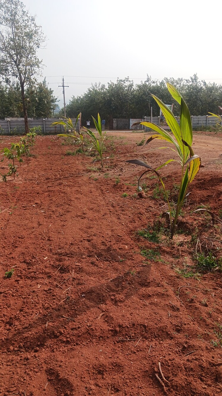 Exterior View, sarada colony  200 Sq.Yd. Plot In Sarada Colony Anakapalle 8195274