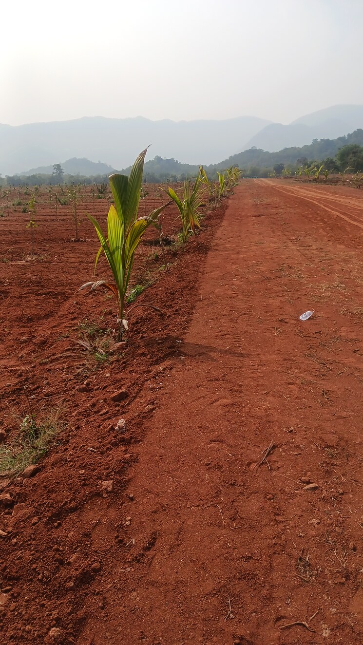 undefined, sarada colony  200 Sq.Yd. Plot In Sarada Colony Anakapalle 8195274