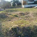 400 Sq.Yd. Plot in Ansal Sushant City 