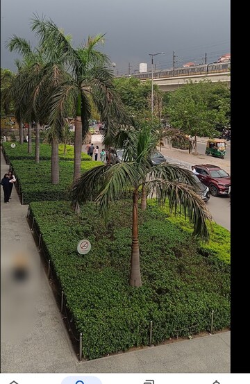  Office Space – Garden View at Vatika First India Place, Sector 28 - for Rent