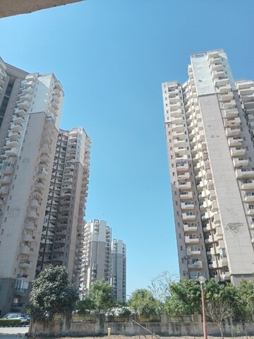 3 BHK Apartment For Rent in Ramprastha Awho, Sector 95