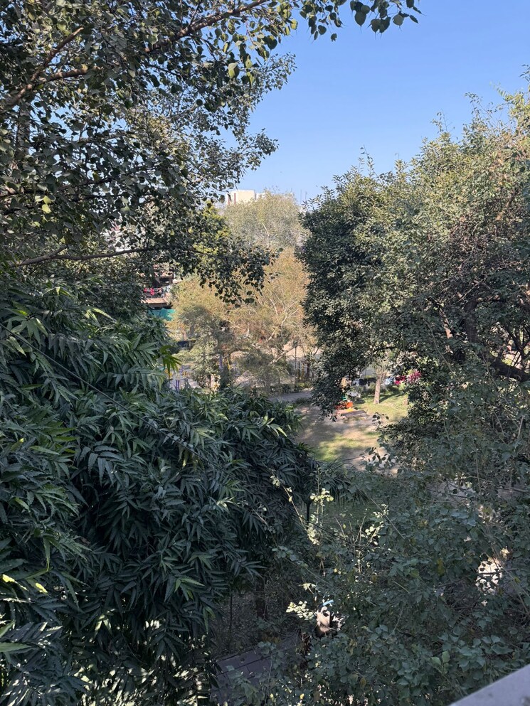 Garden, ramesh nagar 2 Bedroom 100 Sq.Yd. Builder Floor In Ramesh Nagar Delhi 8195420