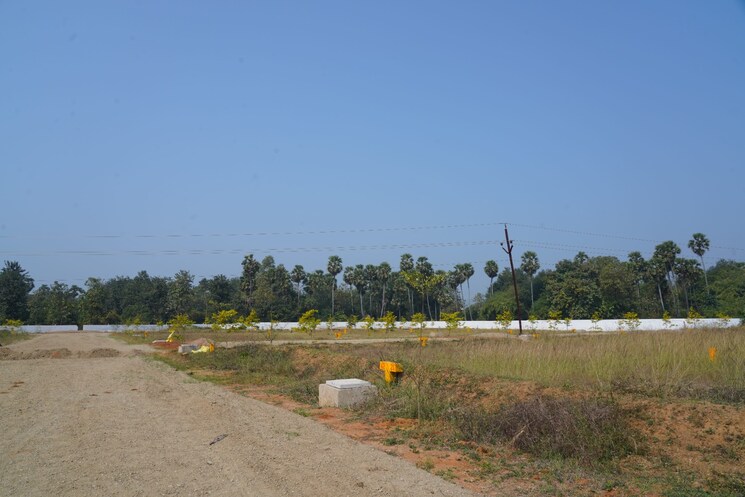 undefined, sarada colony  200 Sq.Yd. Plot In Sarada Colony Anakapalle 8195489