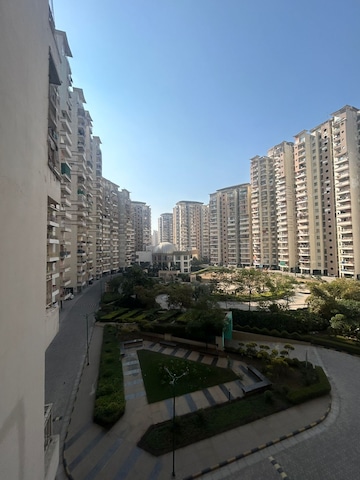 3 BHK Apartment For Rent in Supertech Ecociti Sector 137 Noida  8195486