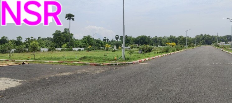 undefined, denkada  200 Sq.Yd. Plot In Denkada Vizianagaram 8195568