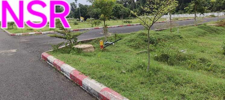 Exterior View, denkada  200 Sq.Yd. Plot In Denkada Vizianagaram 8195568