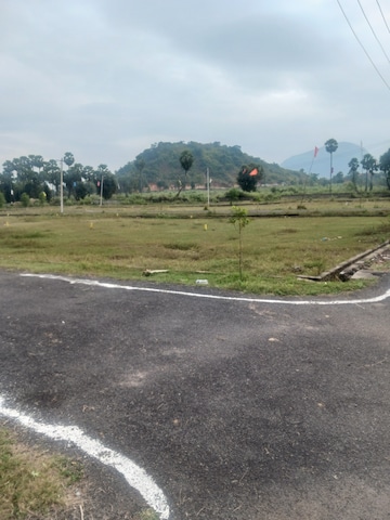 Plot For Resale in Sarada Colony Anakapalle  8195772