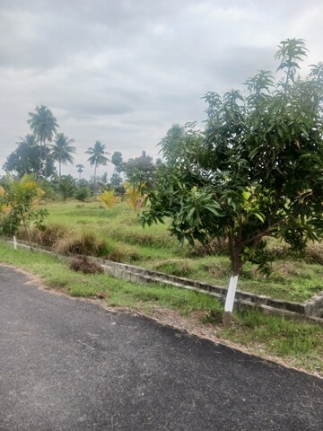  Plot – Exterior View View at Sarada Colony - for Sale
