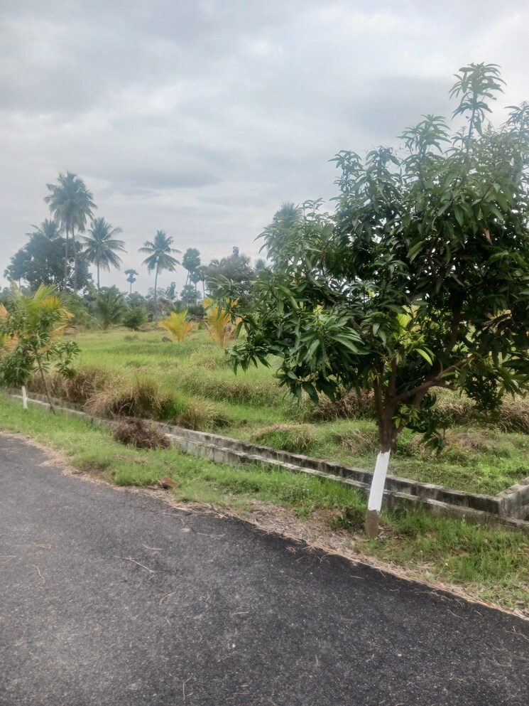 Exterior View, sarada colony  200 Sq.Yd. Plot In Sarada Colony Anakapalle 8195834