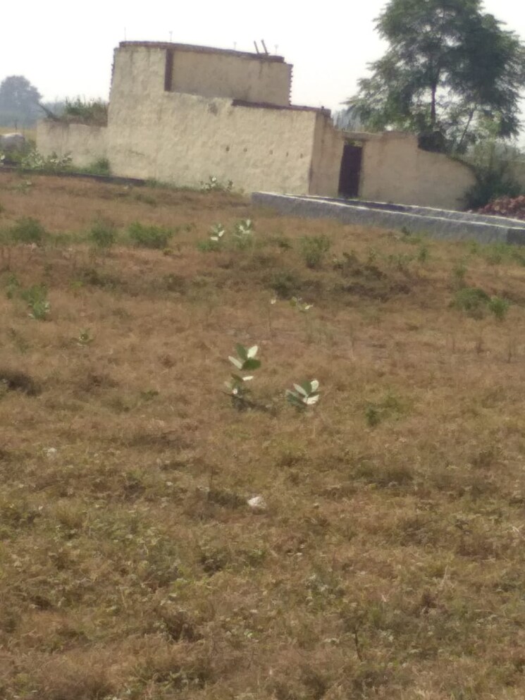 undefined, jewar  48 Sq.Yd. Plot In Jewar Greater Noida 8195930