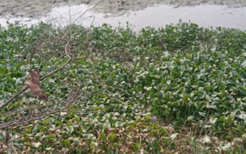 Plot For Sale in Kannad