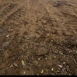 438 Sq.Yd. Plot in DLF Garden City Independent Floors