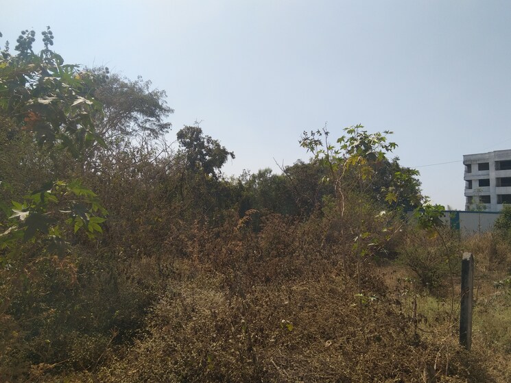 Listing Cover Image