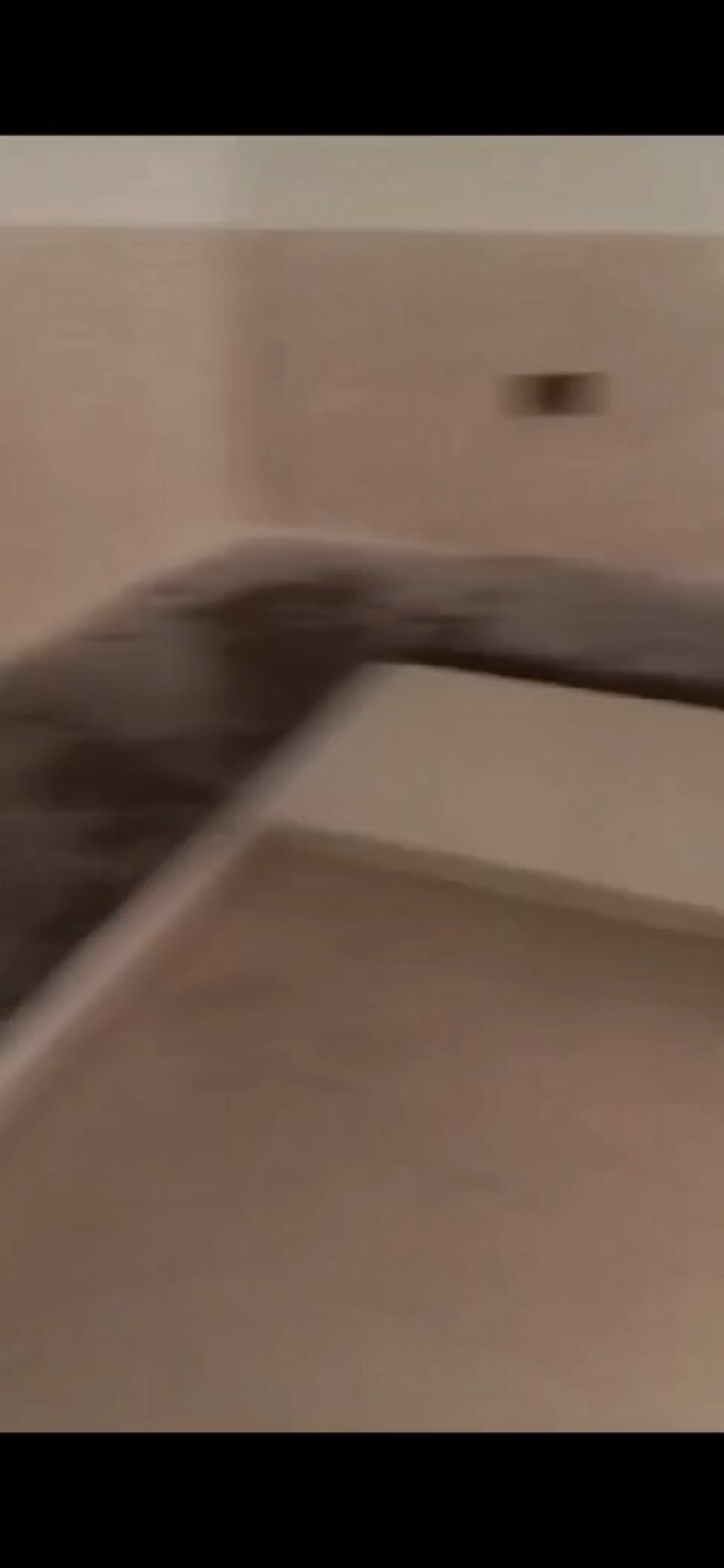 undefined, signature-global-the-millennia 2 Bedroom 644 Sq.Ft. Apartment In Sector 37d Gurgaon 8196245