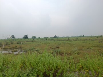 Plot Area in  Plot at Katol rd – for Sale
