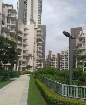 3 BHK Apartment For Rent in Ireo Victory Valley Sector 67 Gurgaon  8196363