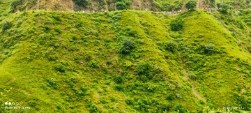  Land – Exterior View View at Naldehra - for Sale