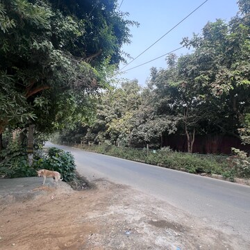  Plot – Exterior View View at Ansal Sushant Lok I, Sector 43 - for Sale