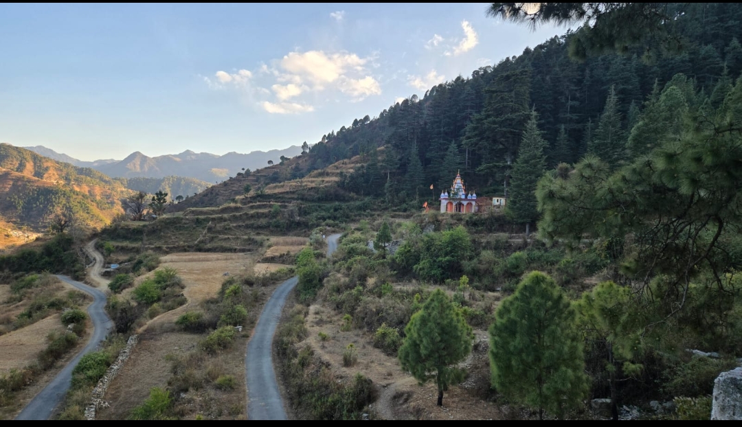 Plot For Sale in Dhakrani