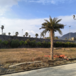 580 Sq.Yd. Plot in Mayfair Highland 