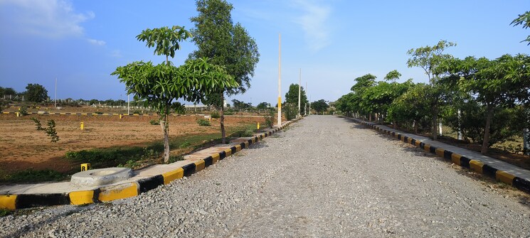 undefined, shadnagar  150 Sq.Yd. Plot In Shadnagar Hyderabad 8196625