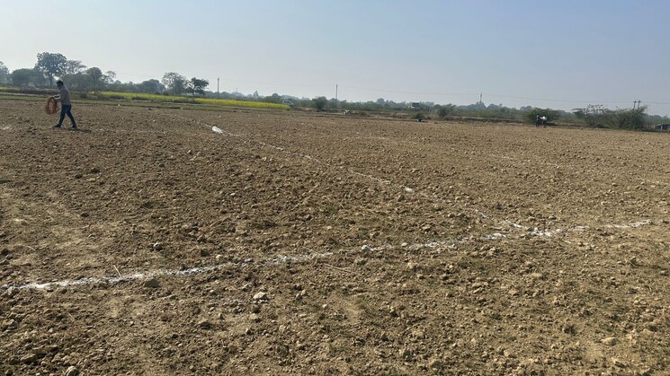 undefined, betiahata  1200 Sq.Ft. Plot In Betiahata Gorakhpur 8196687