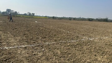 Plot Area in  Plot at Maniram – for Sale