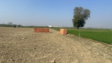 Plot Area in  Plot at Maniram – for Sale