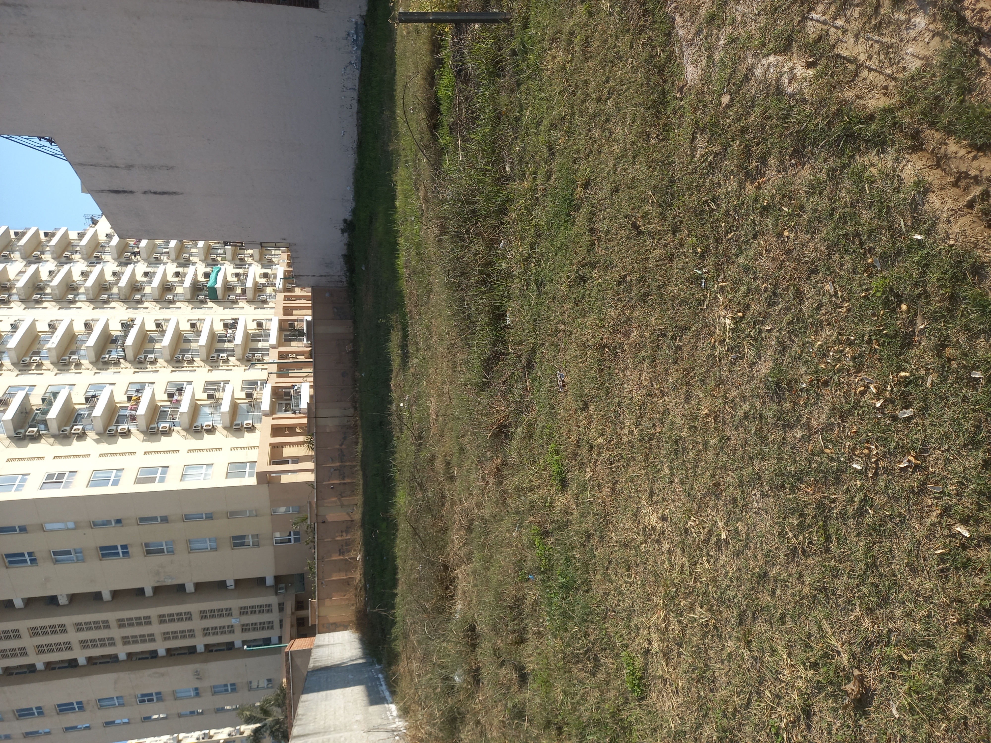 Plot For Sale in Mohali