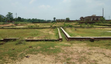Plot Area in  Plot at Sector 33 – for Sale