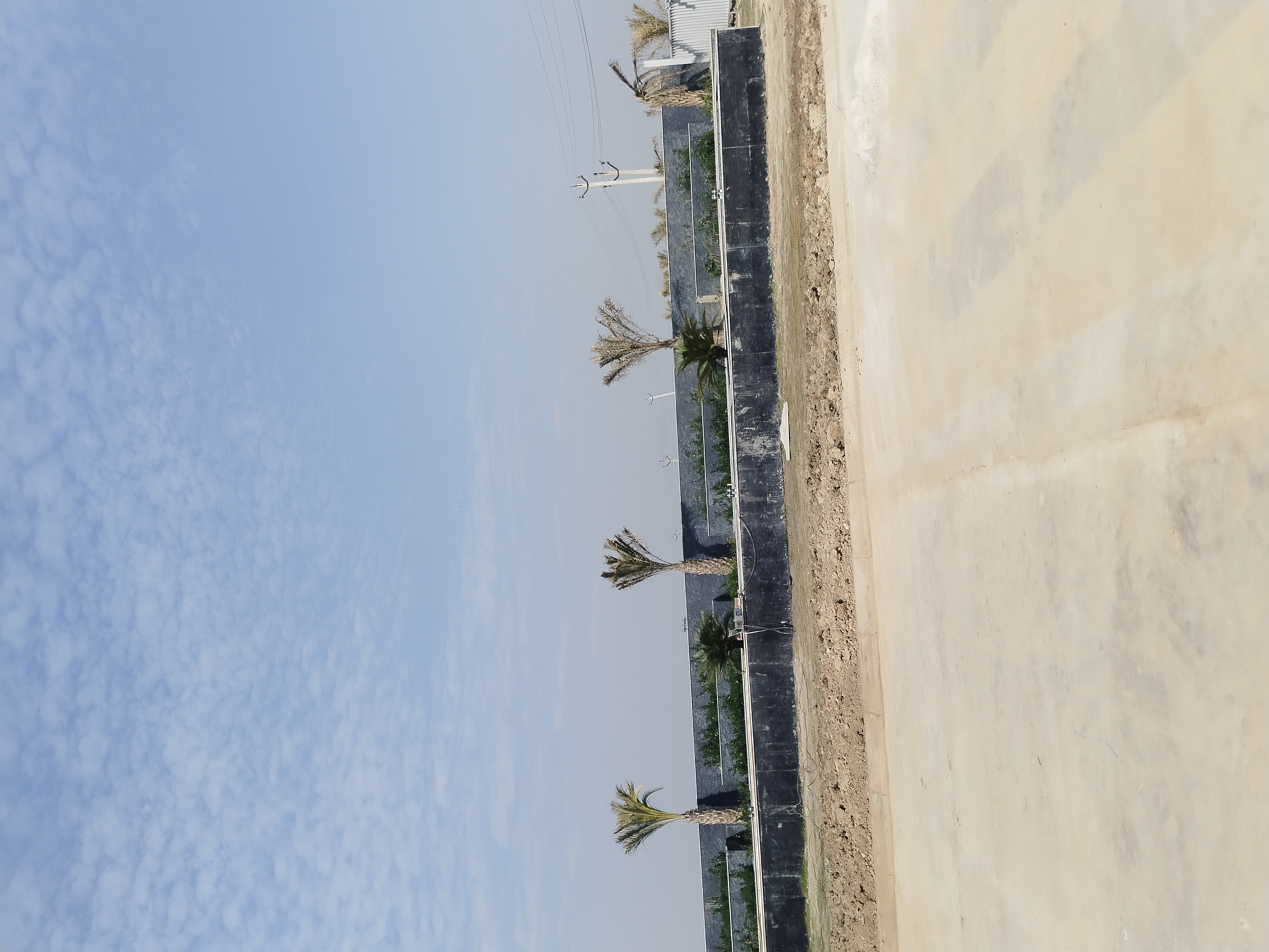 Plot For Sale in Shri Radha Rani Townshipe