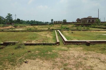 Plot Area in  Plot at Sector 33 – for Sale