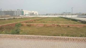 Plot Area in  Plot at Sector 33 – for Sale