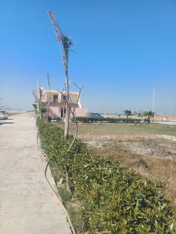 Plot For Resale in Jewar Greater Noida  8197412