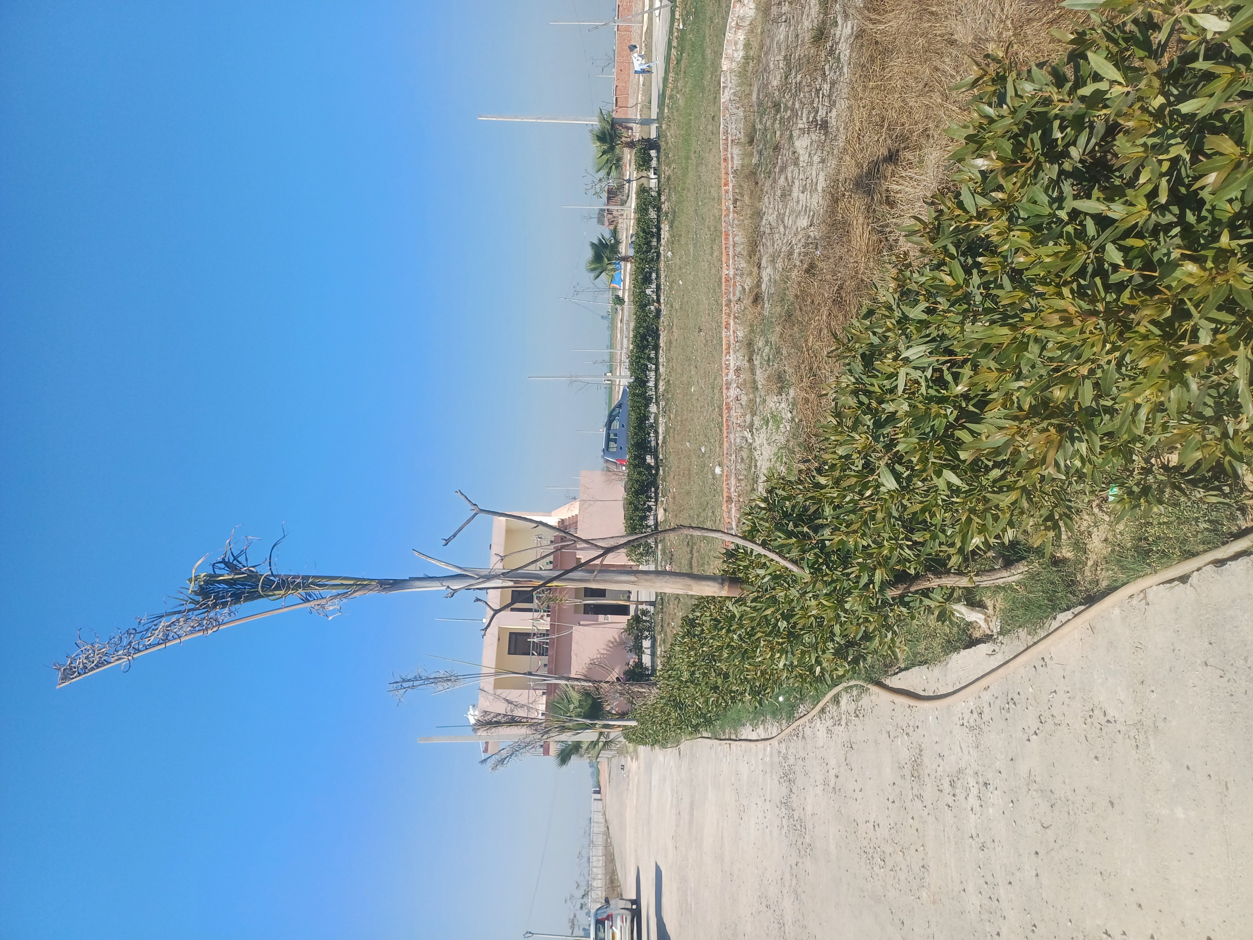 Plot For Sale in The Grand City 