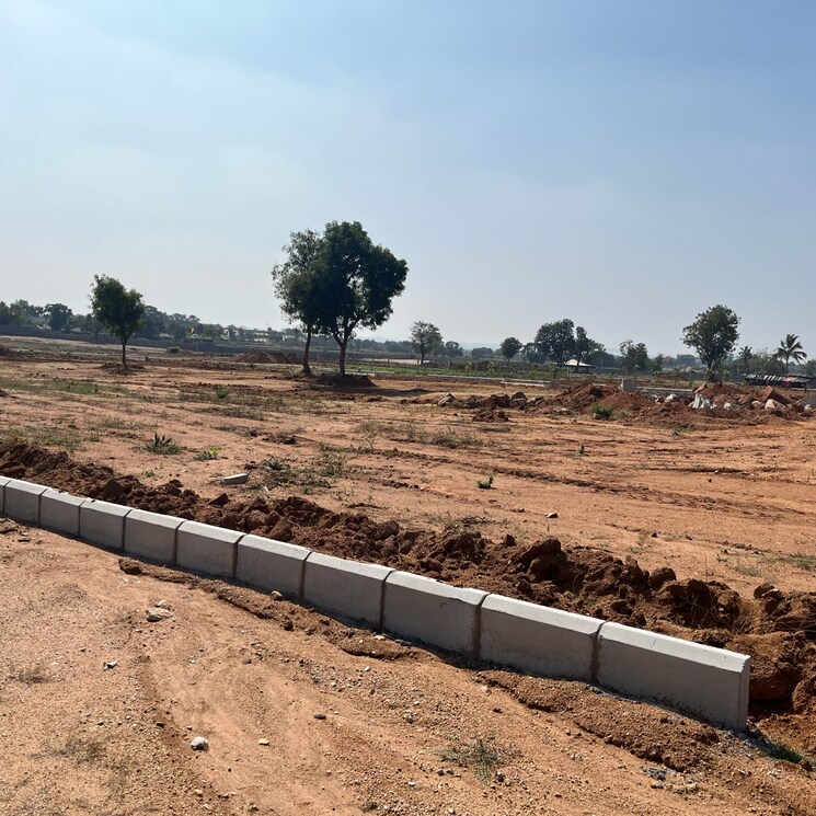 undefined, medchal  444 Sq.Yd. Plot In Medchal Hyderabad 8197556