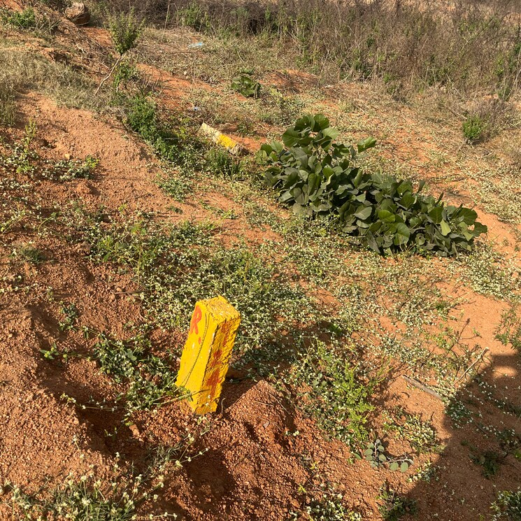 undefined, medchal  444 Sq.Yd. Plot In Medchal Hyderabad 8197556