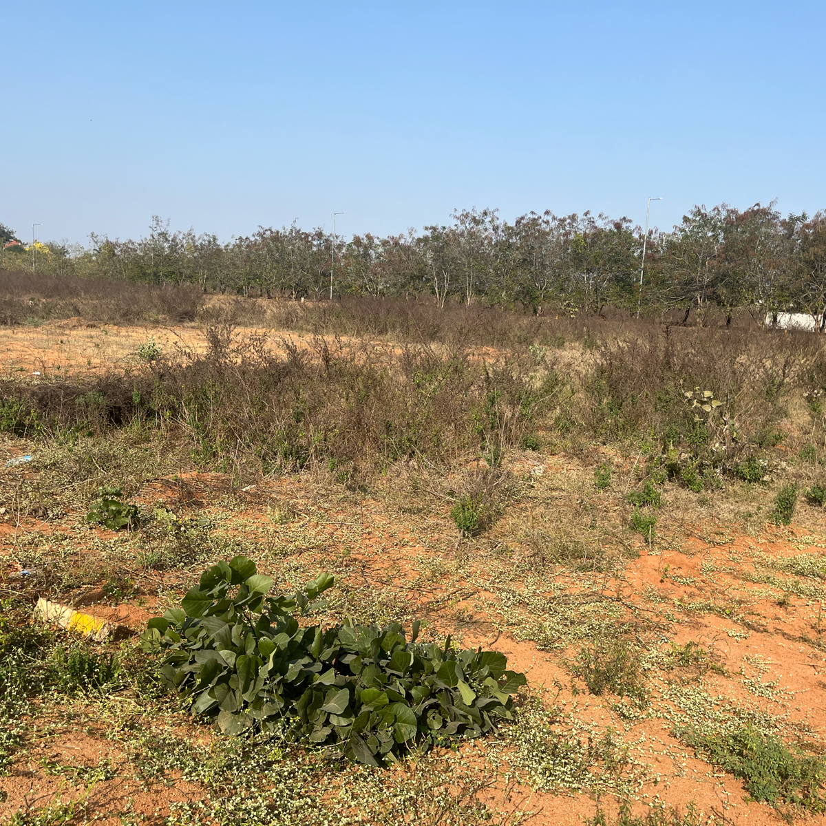 Plot For Sale in Ganga Grandeur Medchal at