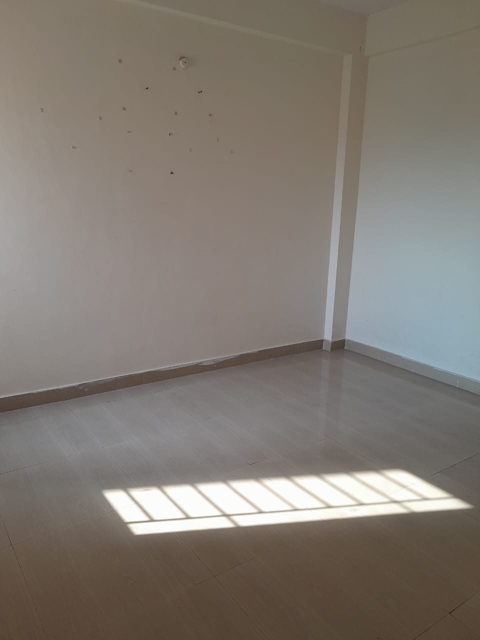 2 BHK Apartment For Sale in Fortune Divine City Misro