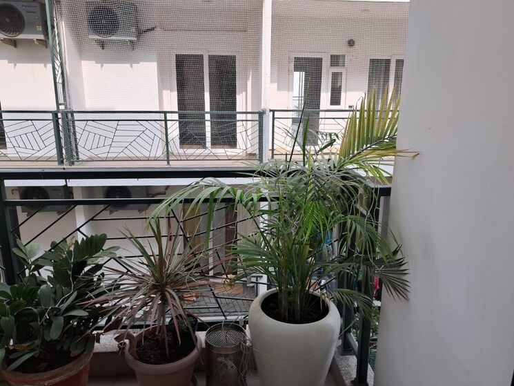 Balcony, silverglades-hightown 3 Bedroom 2150 Sq.Ft. Apartment In Sushant Lok I Gurgaon 8197799