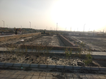 Plot Area in  Plot at Sector 60 – for Sale