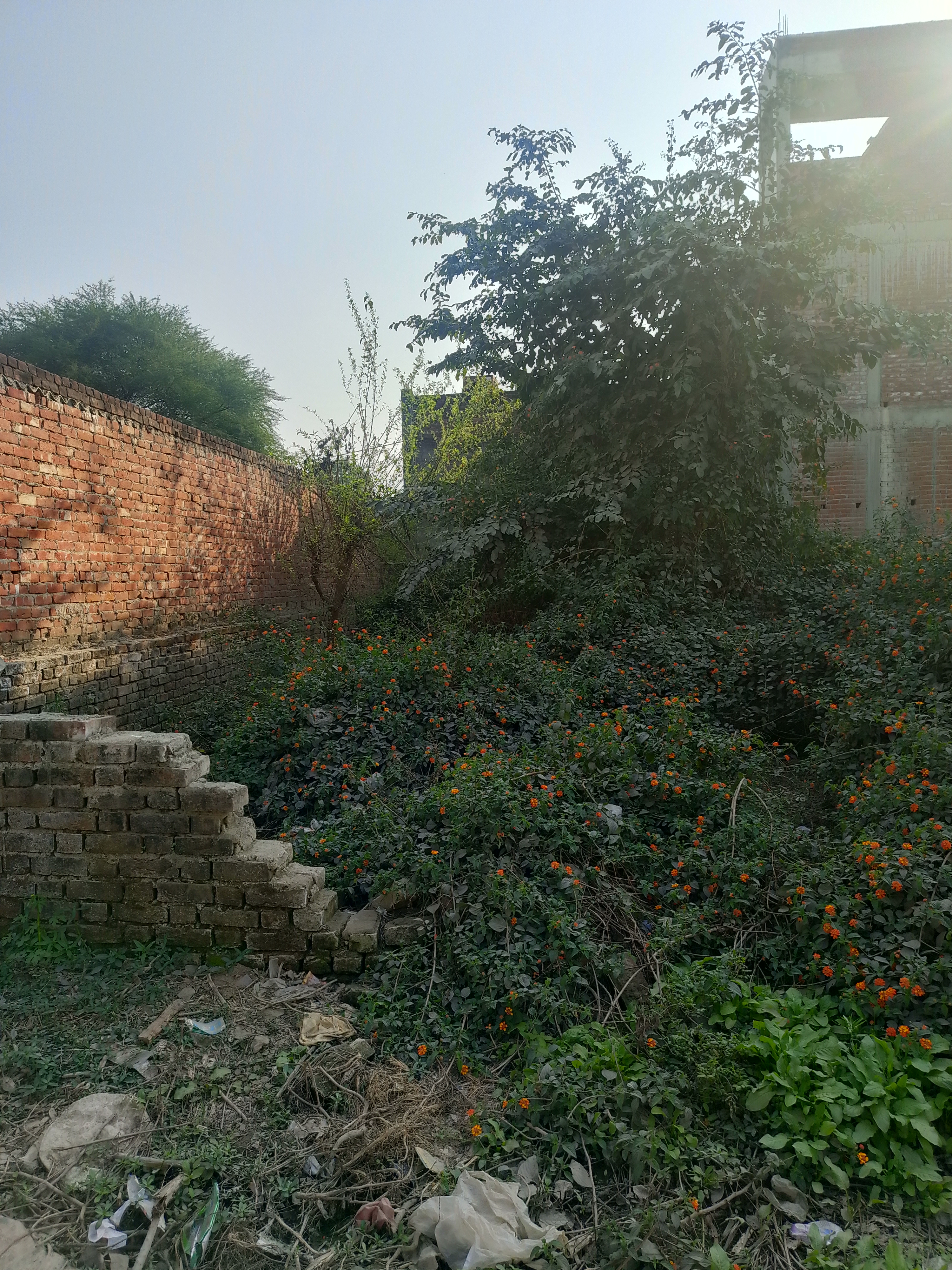 Plot For Sale in Gomtinagar Extension 