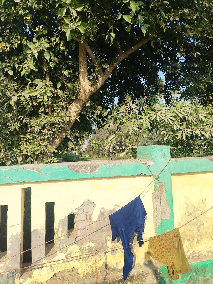 Exterior View, gomti nagar  1250 Sq.Yd. Plot In Gomti Nagar Lucknow 8198187