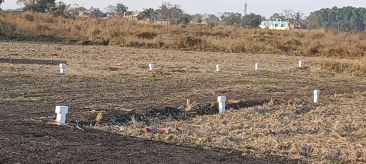 undefined, benachity  1500 Sq.Ft. Plot In Benachity Durgapur 8198325