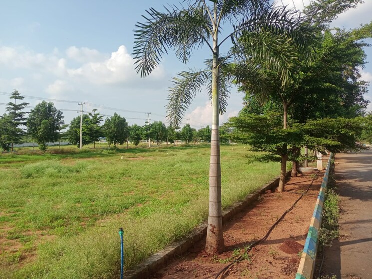 undefined, aduri-spring-city  147 Sq.Yd. Plot In Shadnagar Hyderabad 8198527
