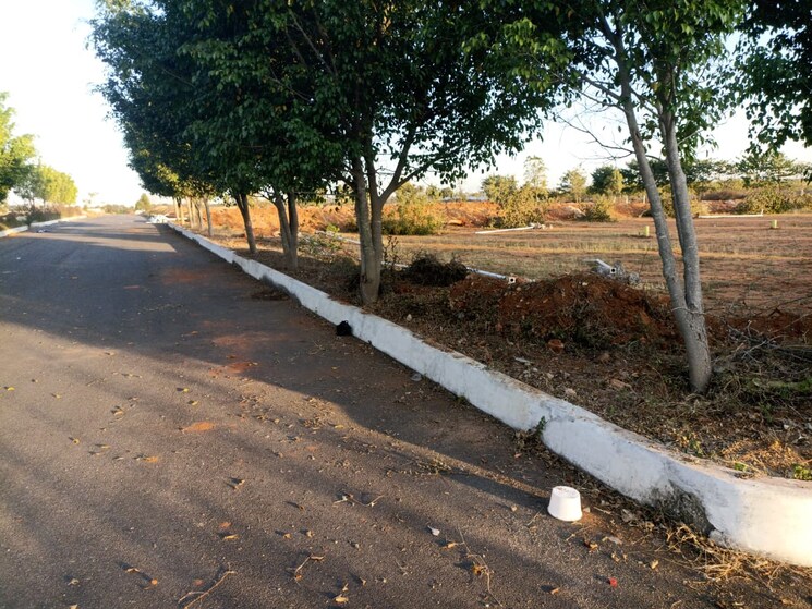 undefined, serene-city  147 Sq.Yd. Plot In Shadnagar Hyderabad 8198610